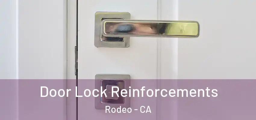  Door Lock Reinforcements Rodeo - CA