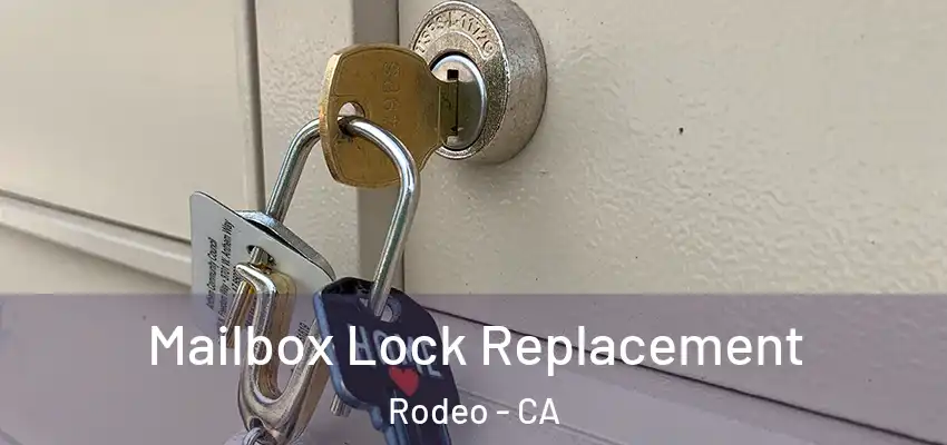  Mailbox Lock Replacement Rodeo - CA