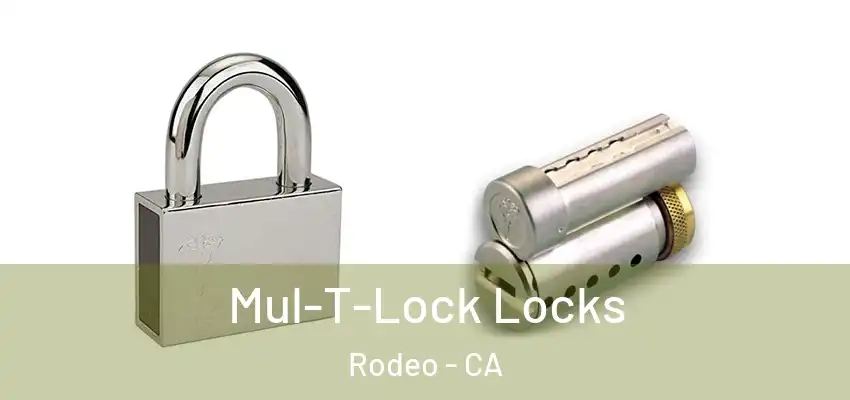  Mul-T-Lock Locks Rodeo - CA