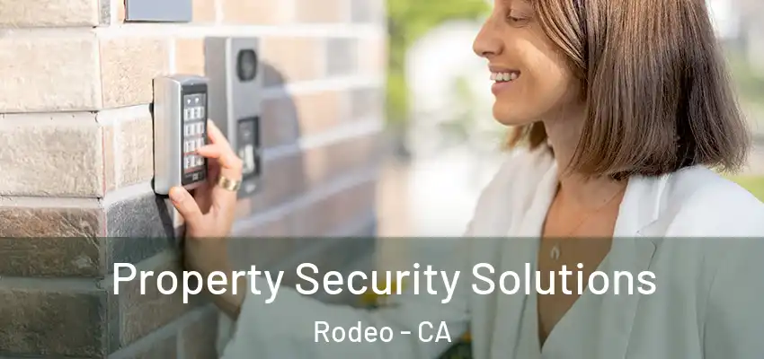  Property Security Solutions Rodeo - CA
